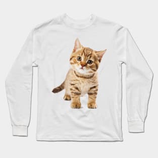 Nice kitten cat Long Sleeve T-Shirt